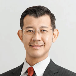 Professor Dr. Teik-Cheng Lim